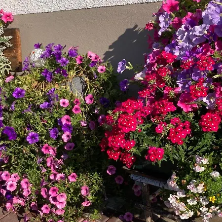 Apartmán Weberhaeusl *