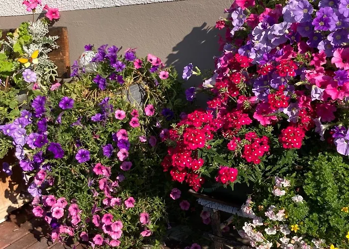 公寓 Weberhaeusl *